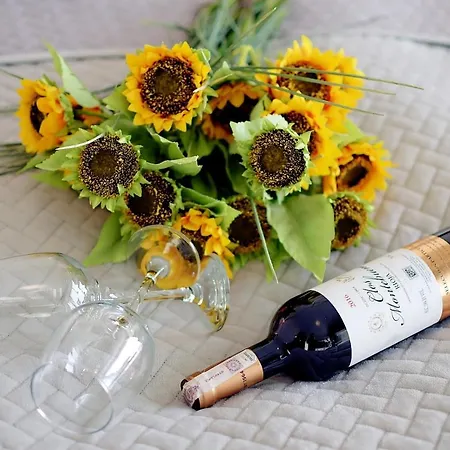 309 W Pieciogwiazdkowym Marine Plaza 20 M Rowery W Cenie Dobruk *