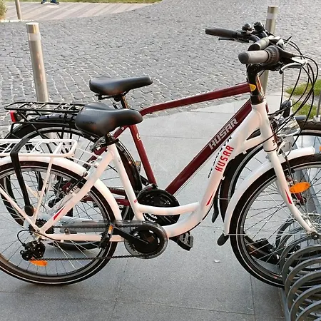 309 W Pieciogwiazdkowym Marine Plaza 20 M Rowery W Cenie Dobruk Kołobrzeg