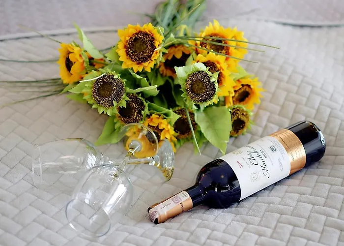 309 W Pieciogwiazdkowym Marine Plaza 20 M Rowery W Cenie Dobruk *